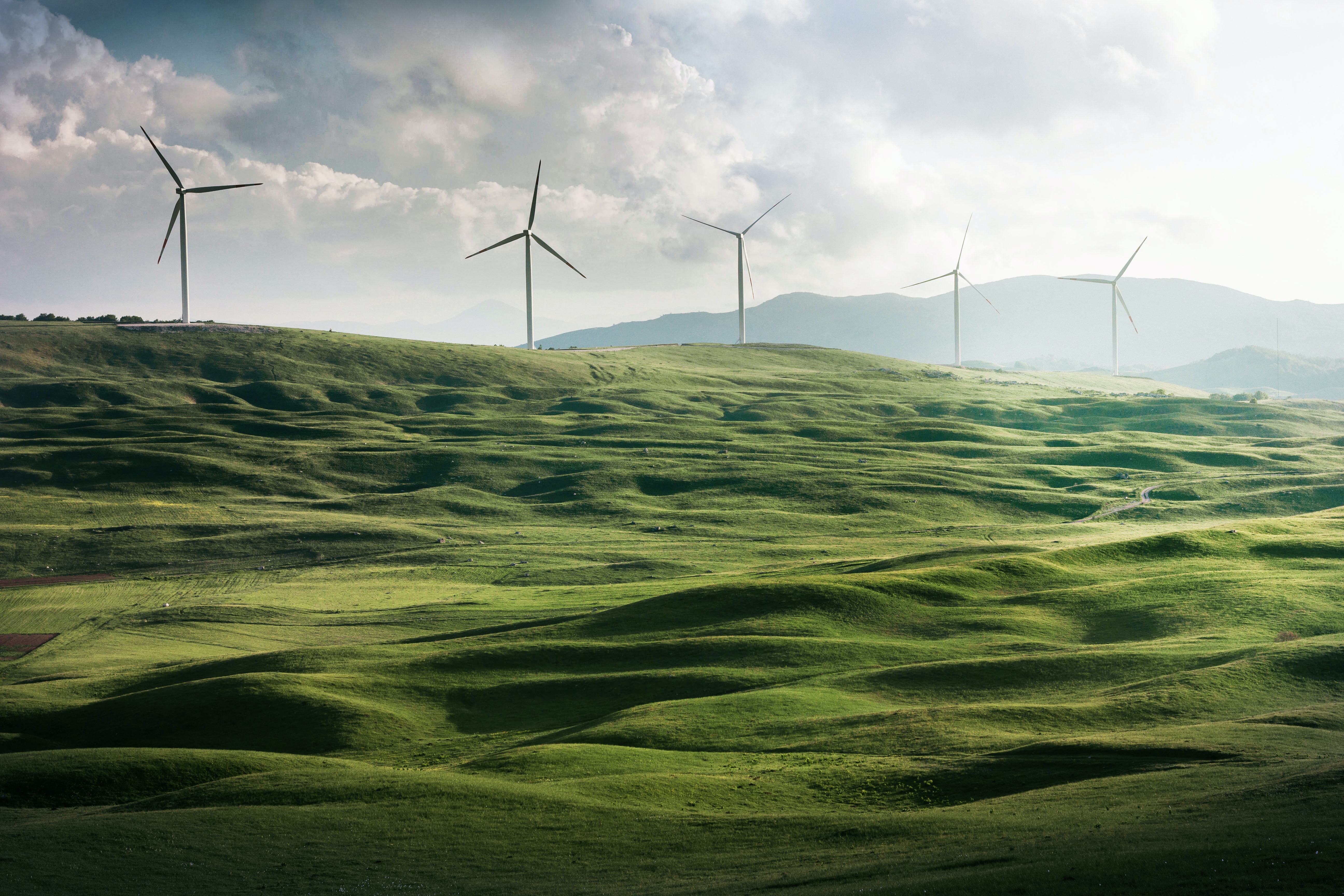 Windmill on Green field