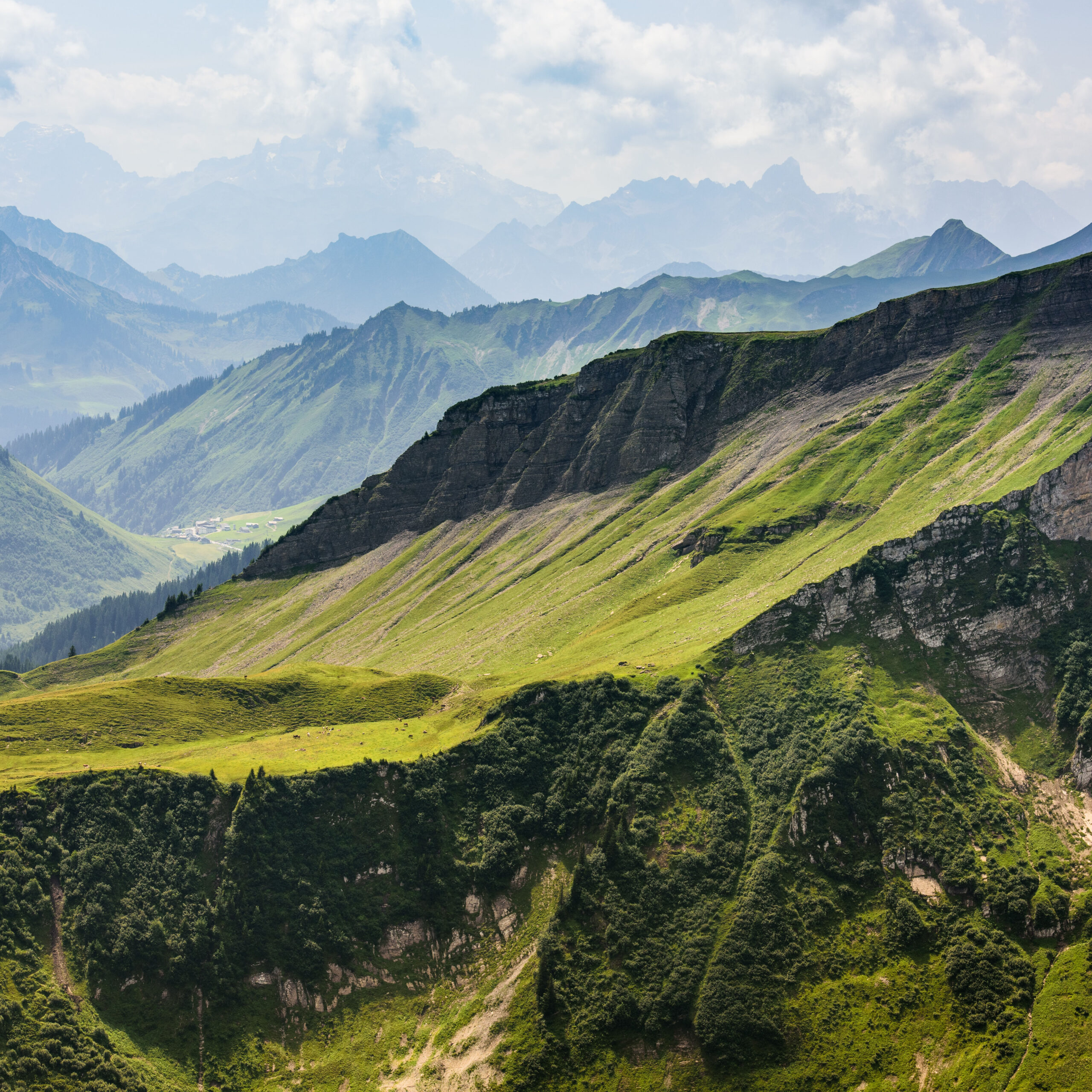 Photo of grassy mountains