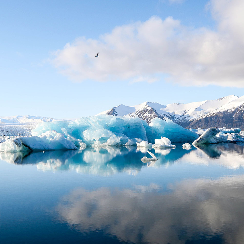 Landscape image of a glacier with clouds and a bird in the sky and mountains in the background