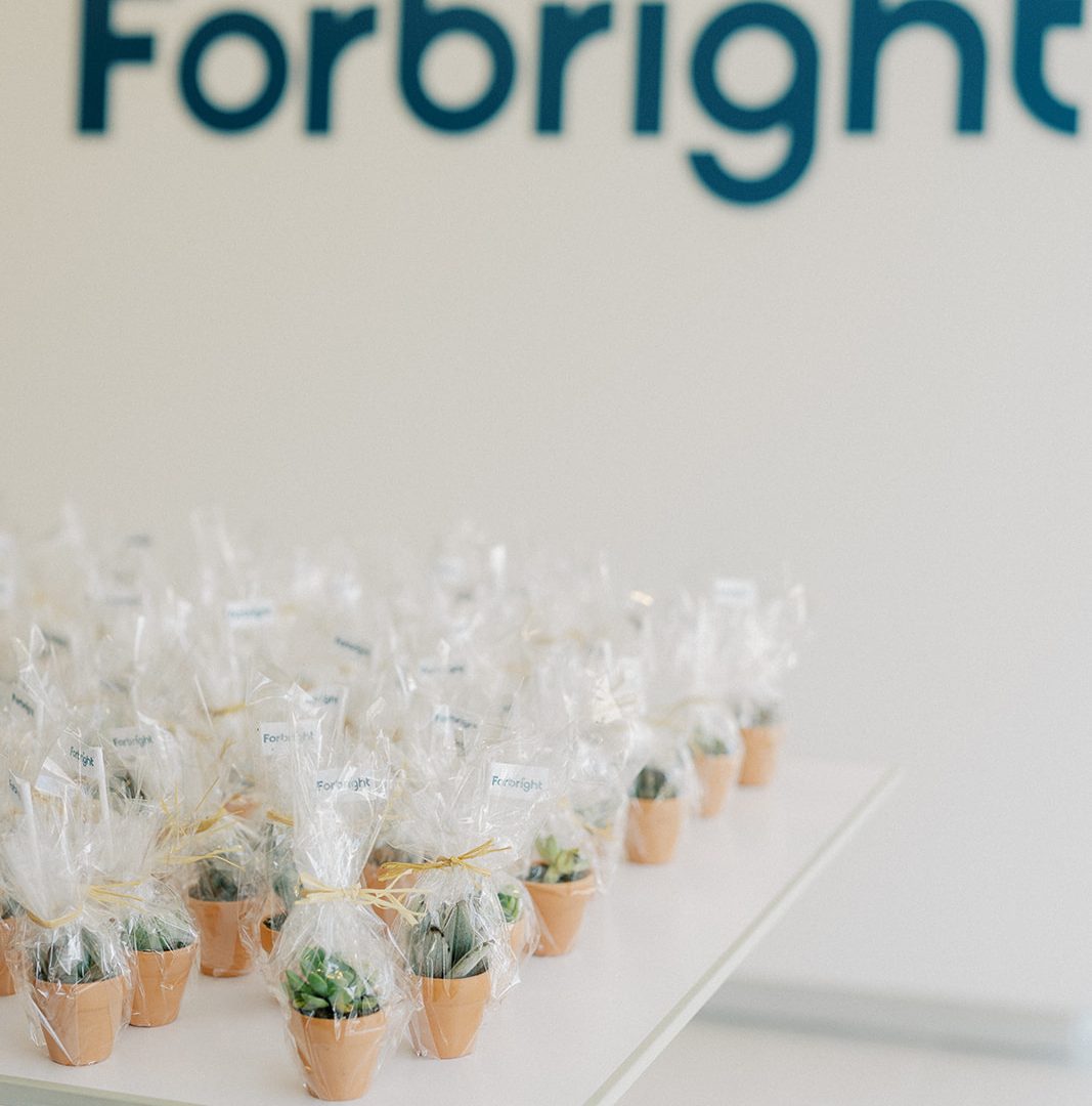 Image of table with small succulents wrapped as gifts. The Forbright Bank logo is on the wall behind the table.