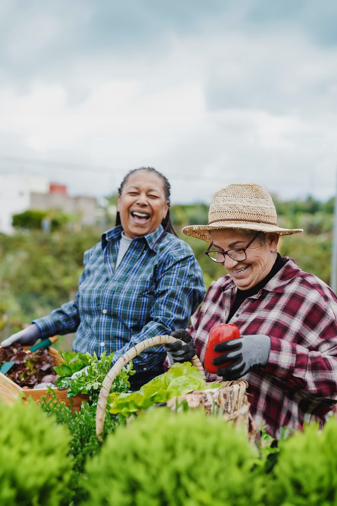 Two older women carrying baskets of vegetables in a garden