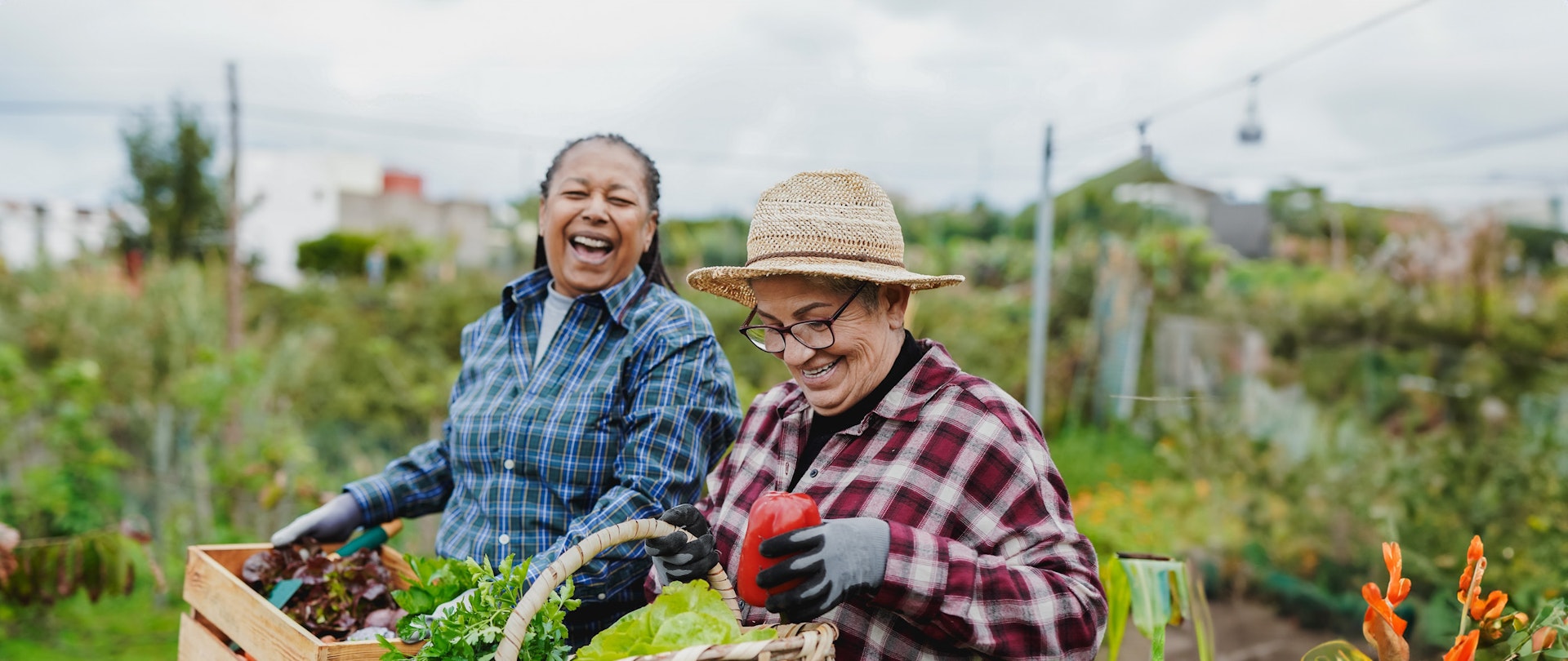 Two older women carrying baskets of vegetables in a garden