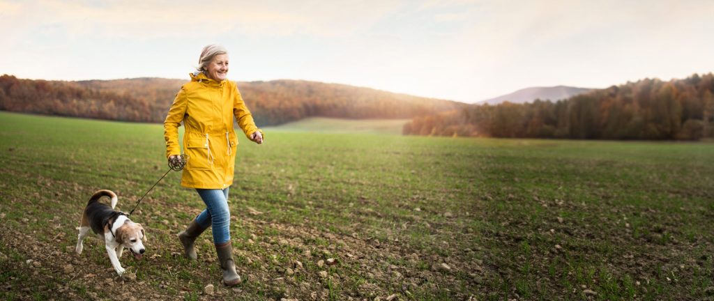 Active senior woman with dog on a walk in a beautiful autumn nature.