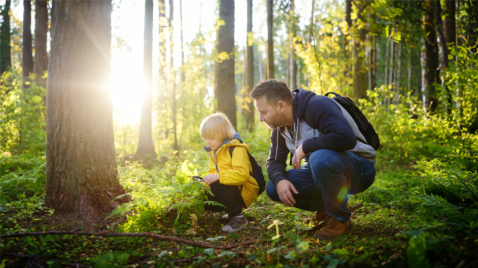Young boy and his father exploring nature together