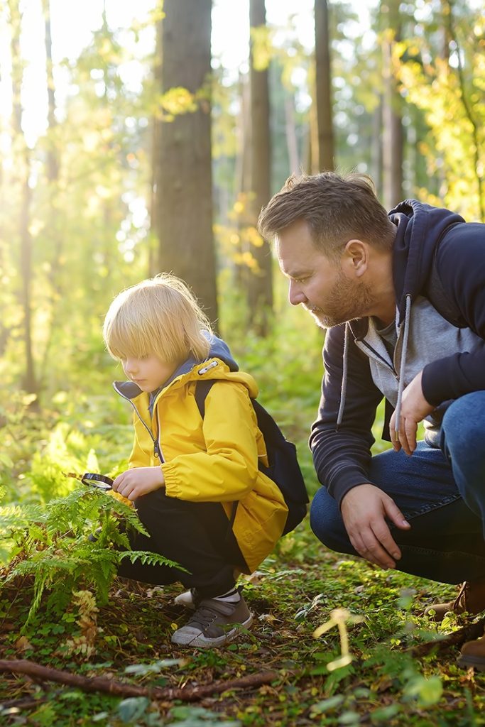 Young boy and his father exploring nature together