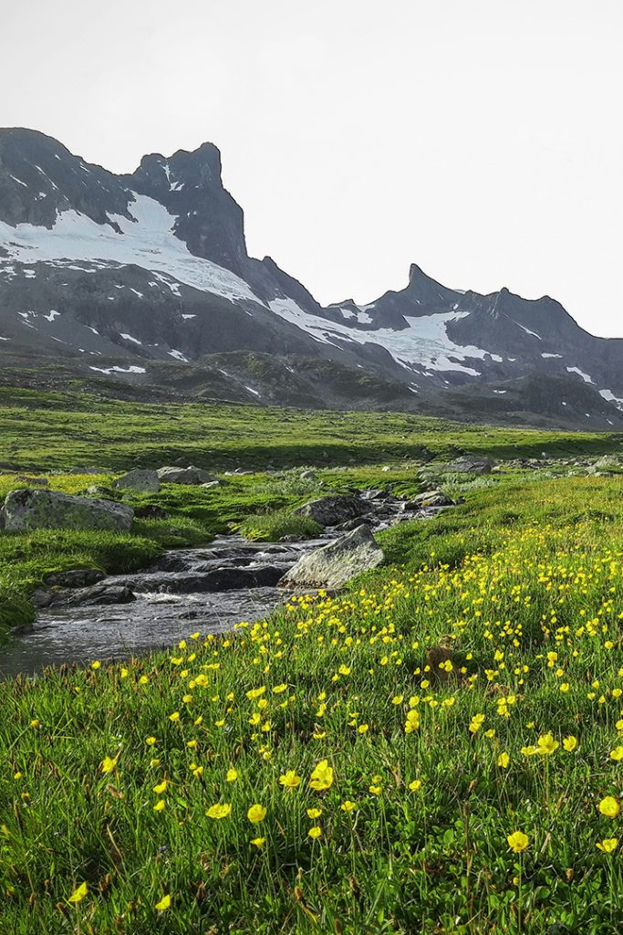 Landscape photo of a creek running through a meadow with mountains in the background.