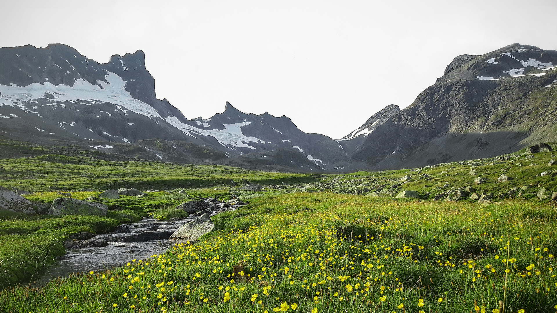 Landscape photo of a creek running through a meadow with mountains in the background.