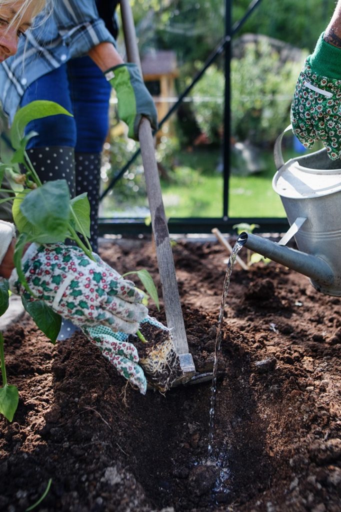 Close up photo of someone's hands planting in a garden.